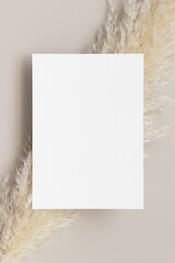 White invitation card mockup with a pampas grass decoration. 5x7 ratio, similar to A6, A5.