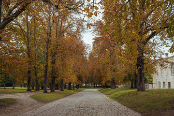 Fototapeta na wymiar autumn in the park
