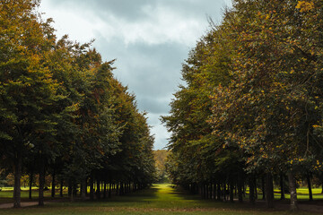 Naklejka premium autumn in the park