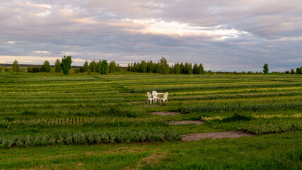 landscape in region country