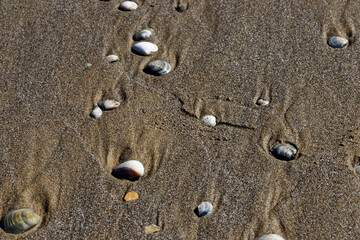 texture of sand