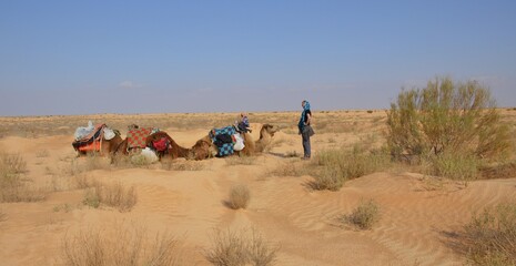 Fototapeta na wymiar travesia por el desierto del sahara cerca de la poblacion de Douz, Tunez