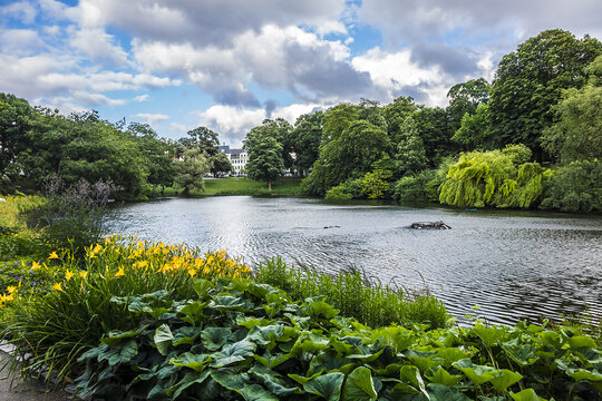 View of Orsted park (Orstedsparken, 1879) - a public park in central Copenhagen. Orsted Park is one in a series of parks which laid out on grounds of old fortification ring. Copenhagen, Denmark.