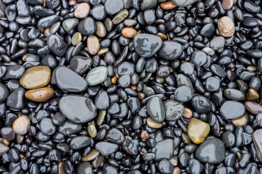 Lot of round grey wet stones on a pebble beach - Powered by Adobe