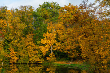 Obraz premium autumn in the park