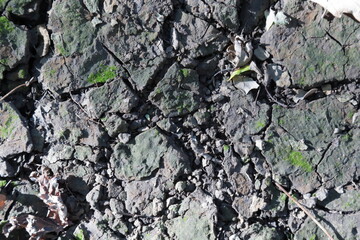 Cracked earth of black soil background