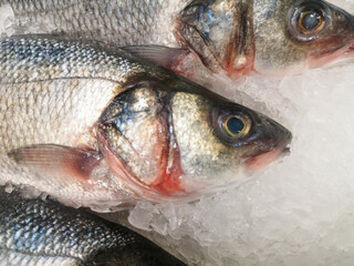 Fresh chilled fish with scales lying on ice in a shop window, store counter