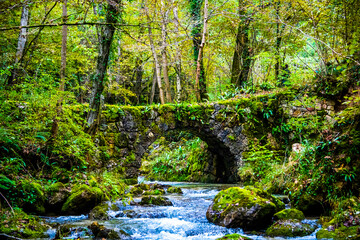 stone bridge in the woods