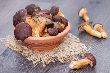 A clay plate of fresh polish mushrooms on wooden background.