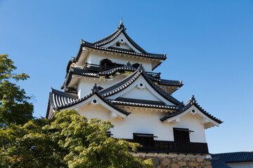 Fototapeta premium 彦根城 天守閣
