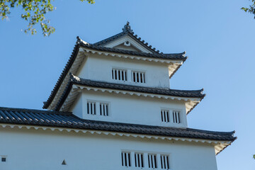 Fototapeta premium 彦根城 西の丸三重櫓