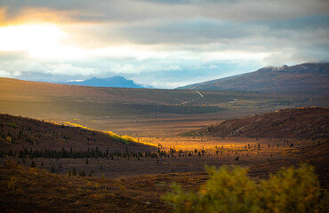 Sunrise at Denali national park taiga mountains at fall