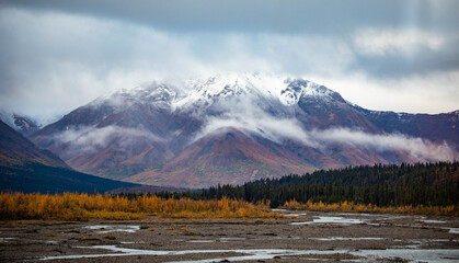 Tundra panorama view at Denali National Park in fall