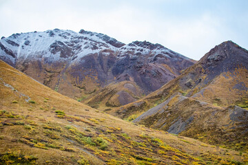 Tundra panorama view at Denali National Park in fall