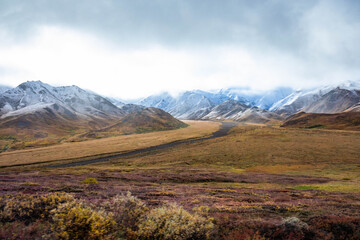 Obraz premium Tundra panorama view at Denali National Park in fall