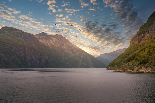 A flock of birds over Geiranger Fjord, Norway