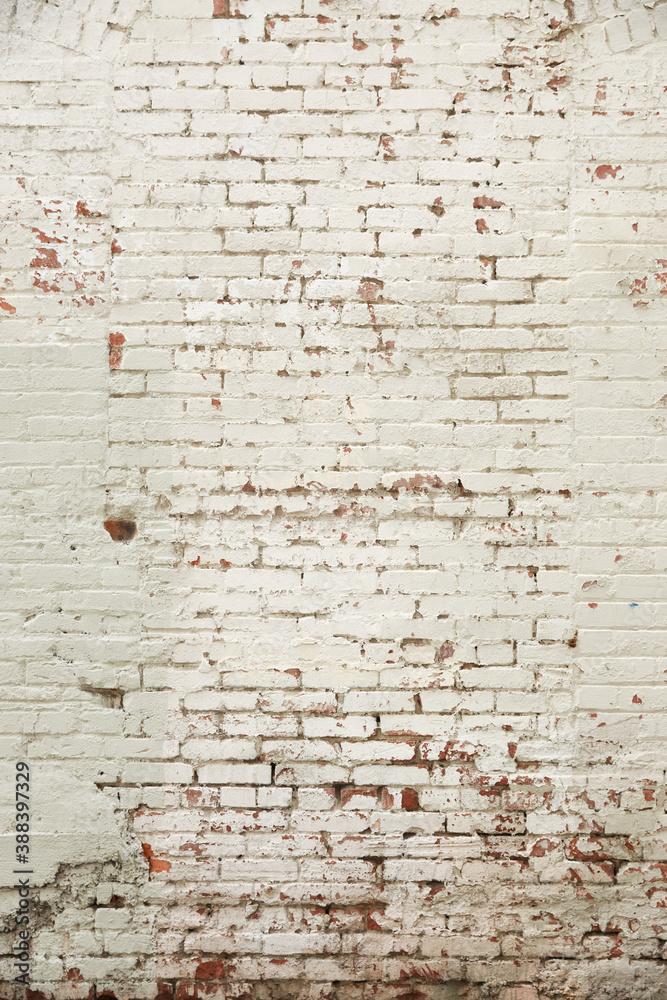 Wall mural rustic aged brick wall