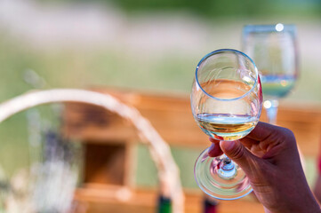 Obraz premium Hand holds two glasses with white wine next to grapes in nature