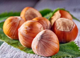Hazelnut.Hazelnut kernels lie on yellow autumn leaves.
