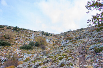 La Maroma, montaña y pico del Parque Natural de Las Sierras de Tejeda, Almijara y Alhama,...