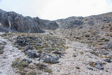 La Maroma, montaña y pico del Parque Natural de Las Sierras de Tejeda, Almijara y Alhama, naturaleza, campo y animales entre Málaga y Granada, en la comunidad de Andalucía, país de España