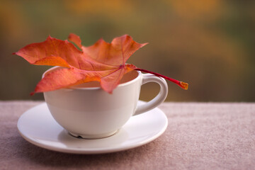 cup with saucer and orange maple leaf on the table with colorful unfocused background