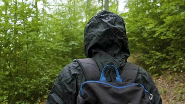 woman walking in  woods, handheld