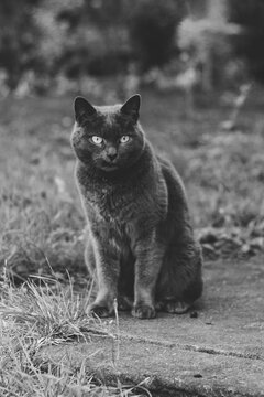 kitku
