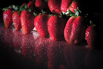 Fototapete bei efototapeten.de bestellen   