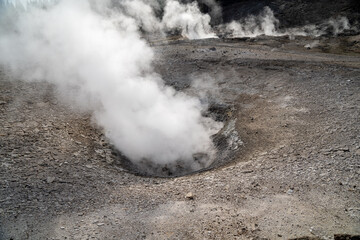 Congress Pool, a geyser in the Norris Geyser Basin area of Yellowstone National Park, along Porcelain Basin trail
