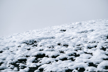 Pure white snow from a recent snowfall. Background and texture of winter.
