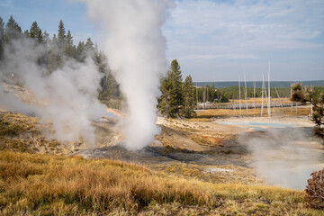 Norris Geyser Basin in Yellowstone National Park in early morning light