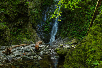 Niagara creek and waterfall in goldstream provincial park, victoria, vancouver island, british...