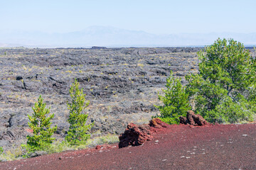 Scenic view of volcanic lava rocks with green conifer trees.