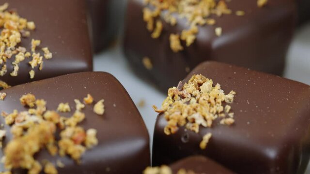 Closeup delicious dark chocolate candies with dry fruit crumbs decoration rotating, hand-crafted homemade sweets, chocolate production. Confectionery, candy shop bar concept, handmade pralines