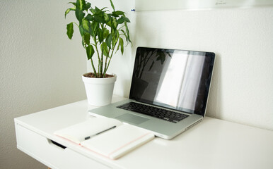 Fototapeta premium Laptop and notebook