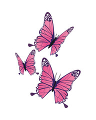 Fototapeta na wymiar pink butterflies flying insects icons