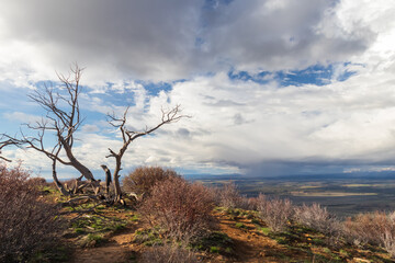 Fototapeta na wymiar Storm clouds over Mesa Verde National Park, Colorado, USA