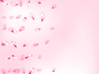 Spring tree flowers parts, airy flying petals