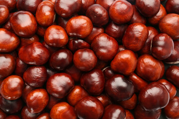 Pile of horse chestnuts as background, top view