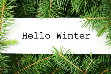 Fototapeta premium Greeting card with text Hello Winter among green fir tree branches, top view
