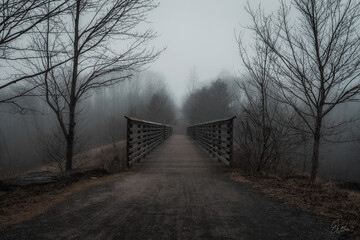 bridge in the park during foggy weather creating dark mood and atmosphere