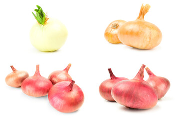 Set of Ripe onion over a white background