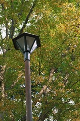 street lamp in autumn park