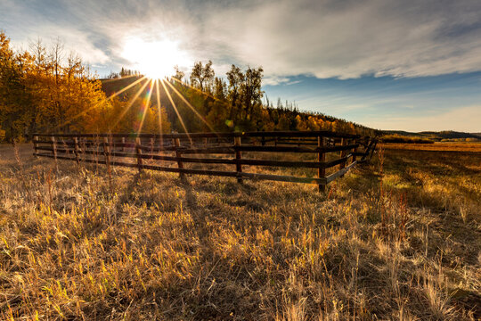 Horse Corral In The Colorado Mountains