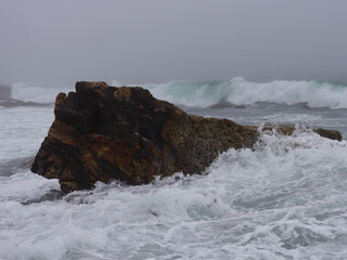 Roca con forma de Leon 