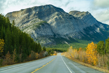 Rural road in the forest with Mount Stelfox in the background. Alberta Highway 11 (David Thompson Hwy), Jasper National Park, Canada.