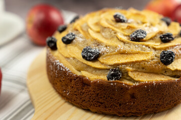 Homemade round apple cinnamon cake or bread with dried cranberries