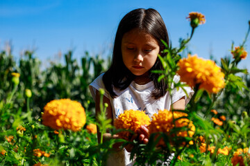 Niña con cempasuchil en día de los muertos celebración Mexicana