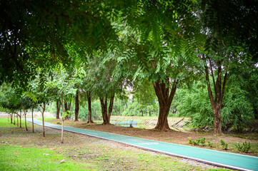road in the park
